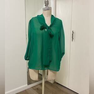 LoveCulture Green Sheer Women’s v-Neck 3/4 Sleeve Blouse Top Medium